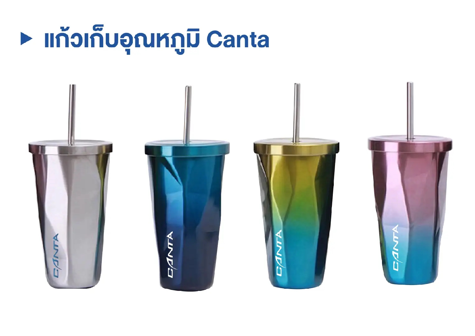 แก้วเก็บอุณหภูมิ Canta